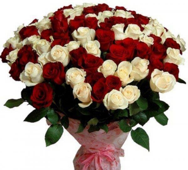 8754 avril 2014  le temps des roses