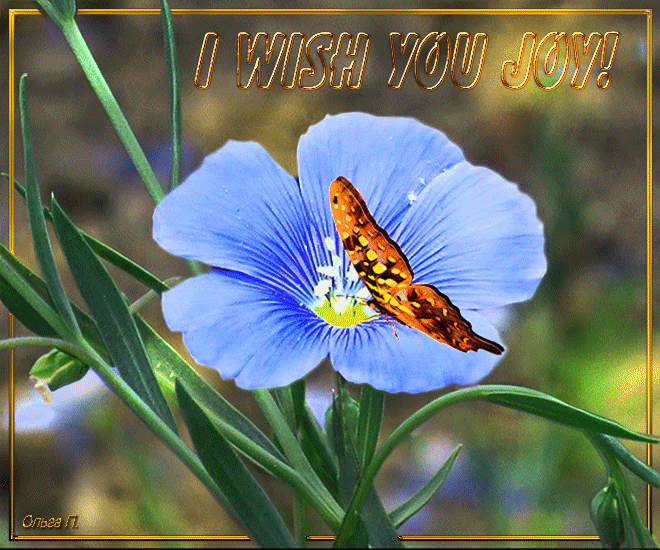 1bce202928cd96be38a57303905b8f4b