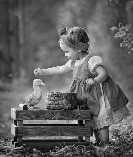 202361973_4029697550452786_1187175656887500009_n_1