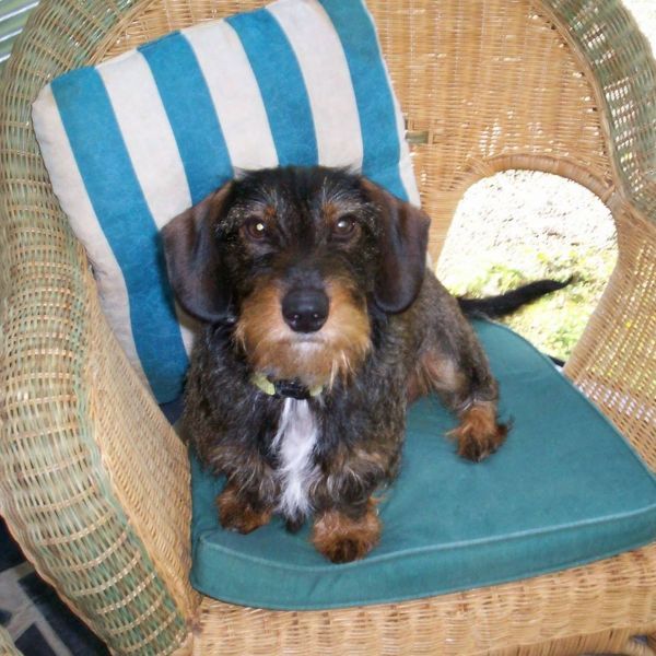 20861599_10210158630342453_729424361102922310_o_2