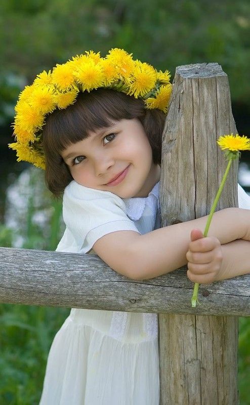  17 052 Juin 2019 les fleurs de  prairie  ,