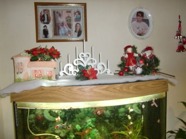 17 823 décembre 2019 ma déco 2019