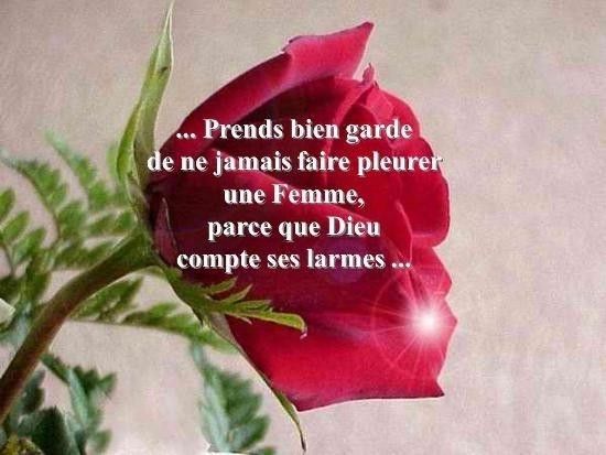 18 129 Mars2020 très bonne fête de la femmes