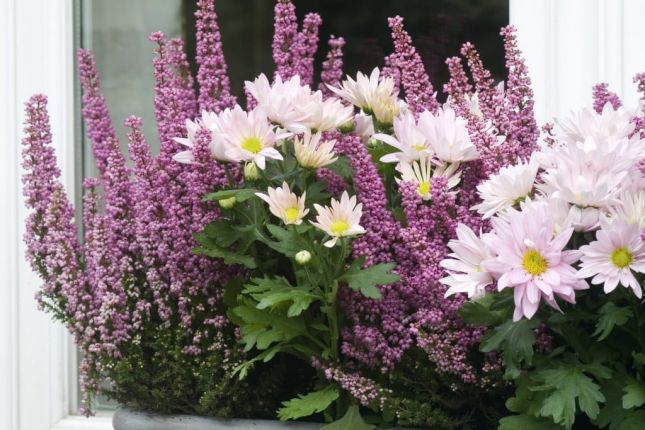 264044502_3111192375832350_1344741030487306379_n