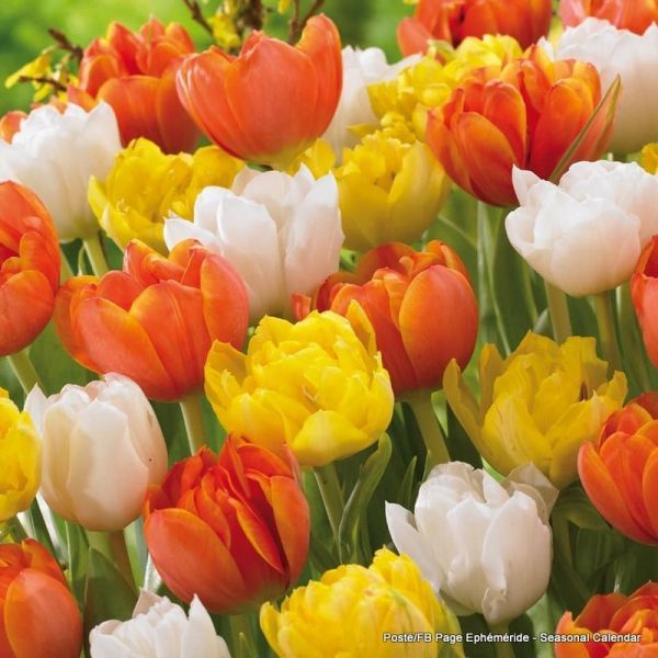 274300238_526005912200258_3780271059729674852_n