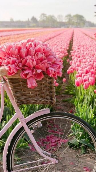 278287559_557006912433491_8408718887847233006_n