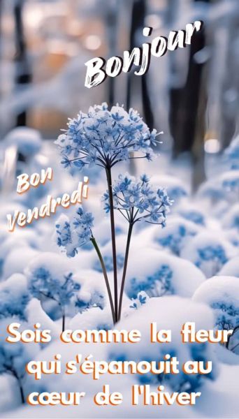 305ade2dc8781436d6ba9c62e664e9ff_2