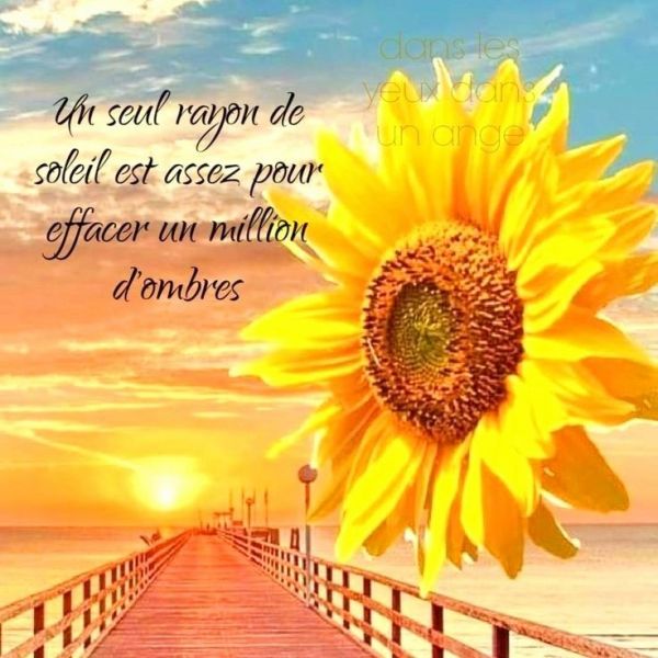 376537ce16dfe3057c2bf7842d60c921