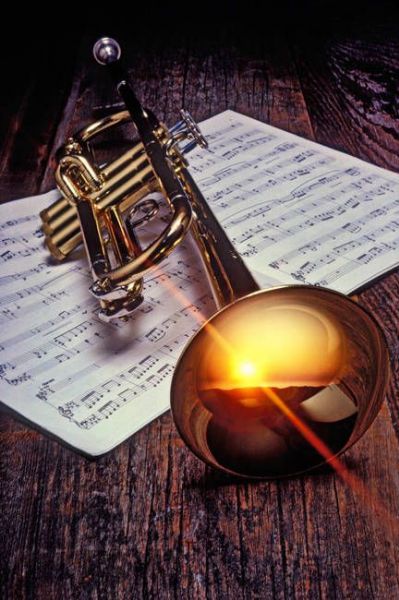 406250295_744111267749065_1653349129469762527_n