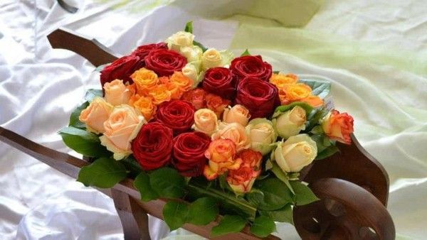 5973 Mars 2013 des fleurs pour mes amies , amis