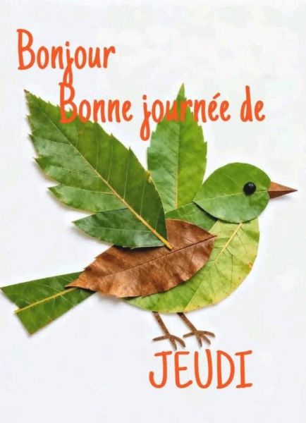 561608065_2219334095160716_2959183565764781012_n