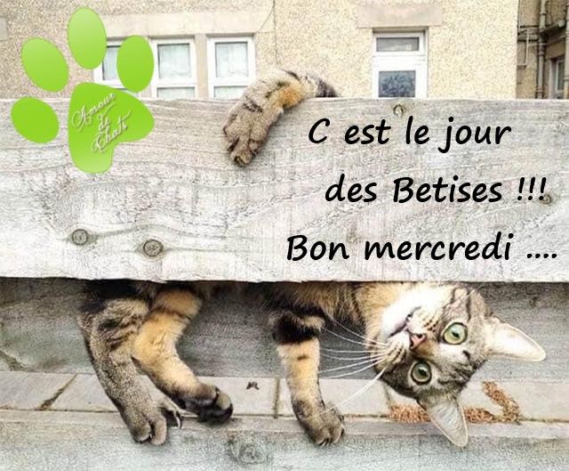 561732834_1151267200463177_5121900257898763836_n