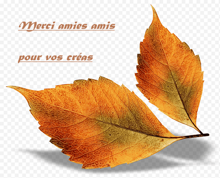 21 Novembre 2025   Merci amies amis ,pour vos créas