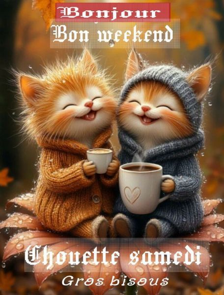 615838232_1271079201710787_291236238816608046_n