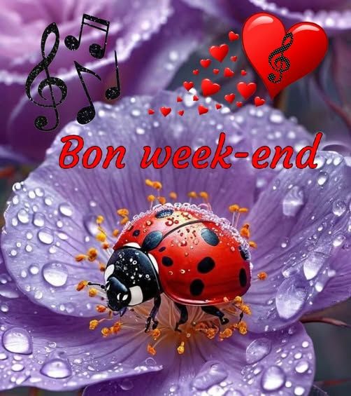 615959748_1429570945202743_4844318574553811531_n