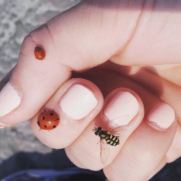 616327687_1490516133074084_3435840742393412455_n