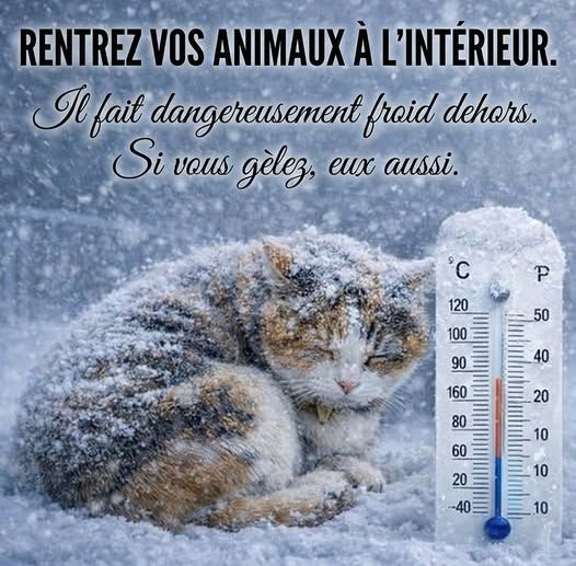 617417733_122257539302181698_8111062356564140630_n