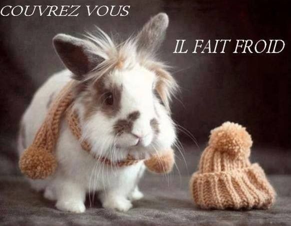 10 190 janvier 2015 l hiver est là