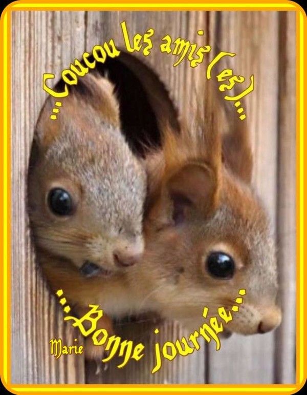 http://douceuretdetente.d.o.pic.centerblog.net/88a3a1e3.jpg