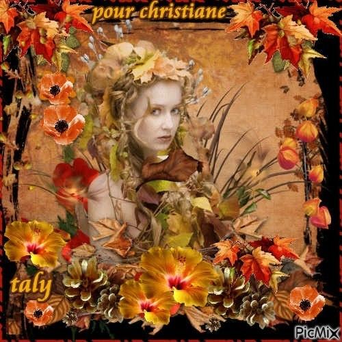 4833 Octobre 2012 merci ma douce Taly , belle image!