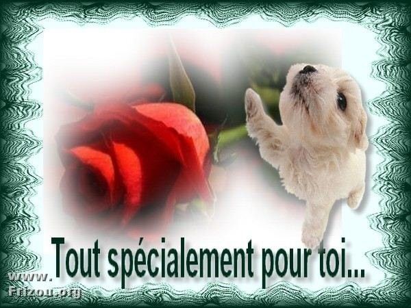 3506 Avril 2012 pour mon amie pomme suréte