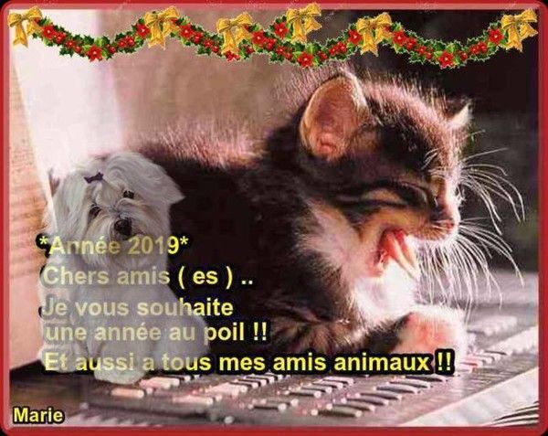 http://douceuretdetente.d.o.pic.centerblog.net/936334d7.jpg
