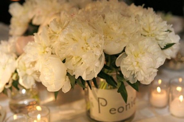 3544 Avril 2012des pivoines ou des roses ? 