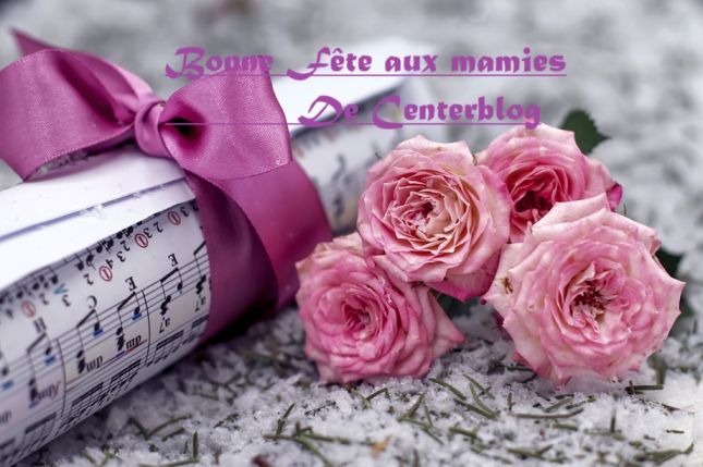 flowers-6903000_1281