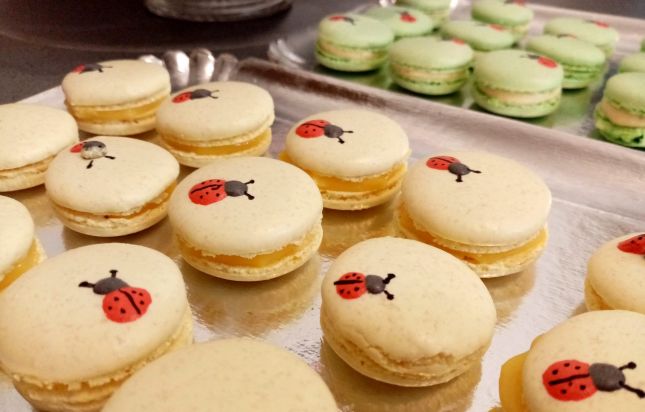 macarons-coccinelle-1-scaled